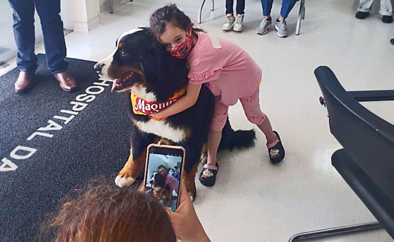 Hospitais de Itu recebem ações terapêuticas com cão Magnus